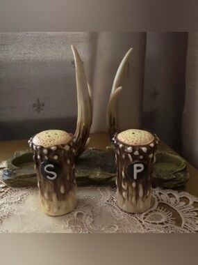 Unique Rivers Edge Rustic Resin Salt/Pepper Shaker And Napkin Holder